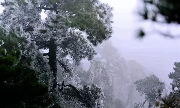 2012年世界是否会如玛雅所预言的一样《世界末日》呢?-专业问答网站