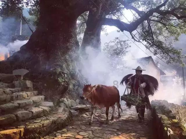 可爱吊带裙