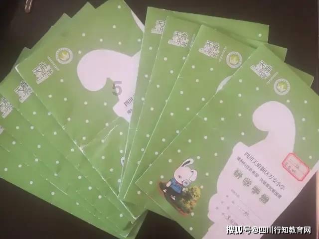 救援七星瓢虫